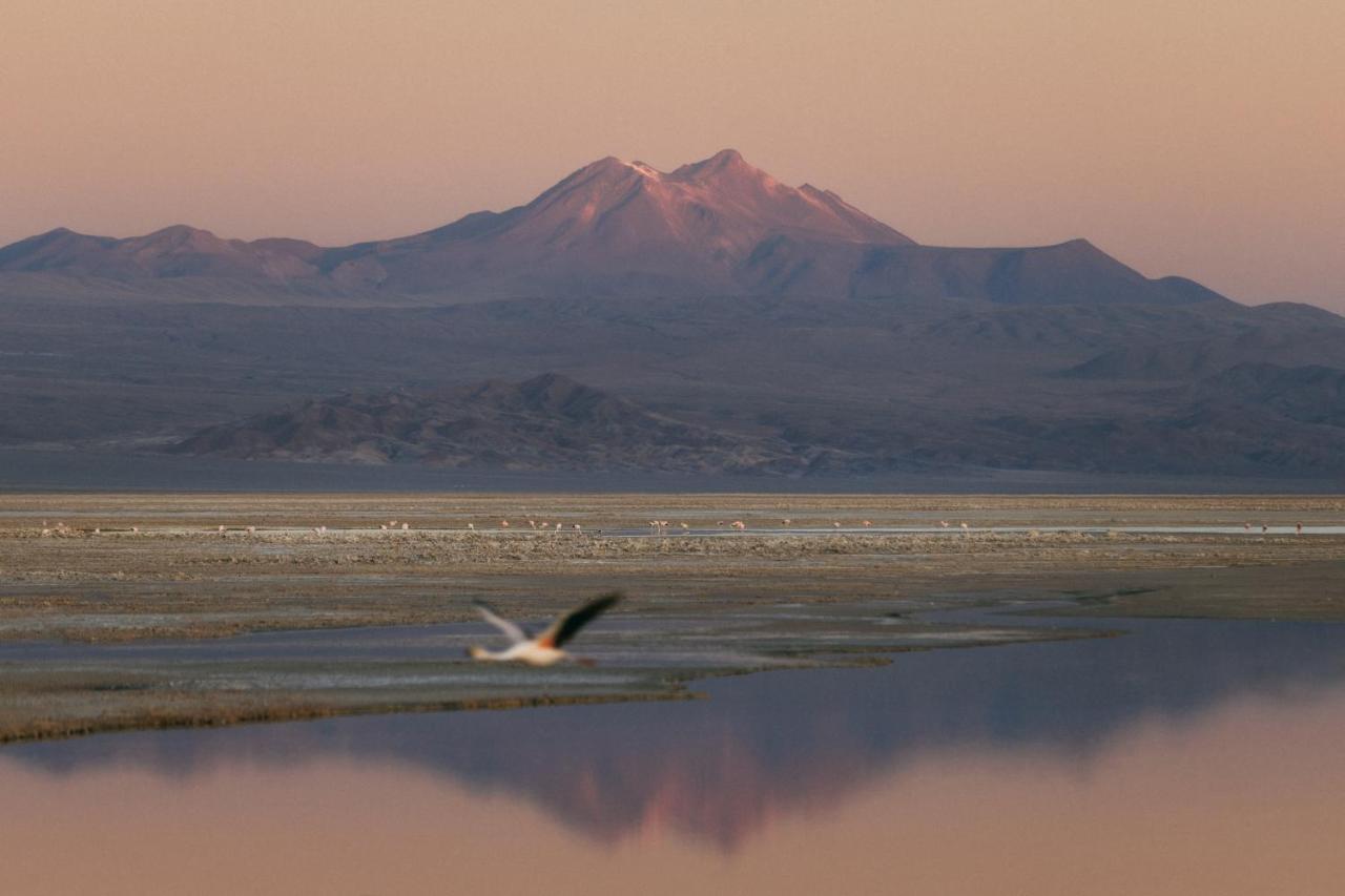 Our Habitas Atacama Hotel San Pedro de Atacama Ngoại thất bức ảnh