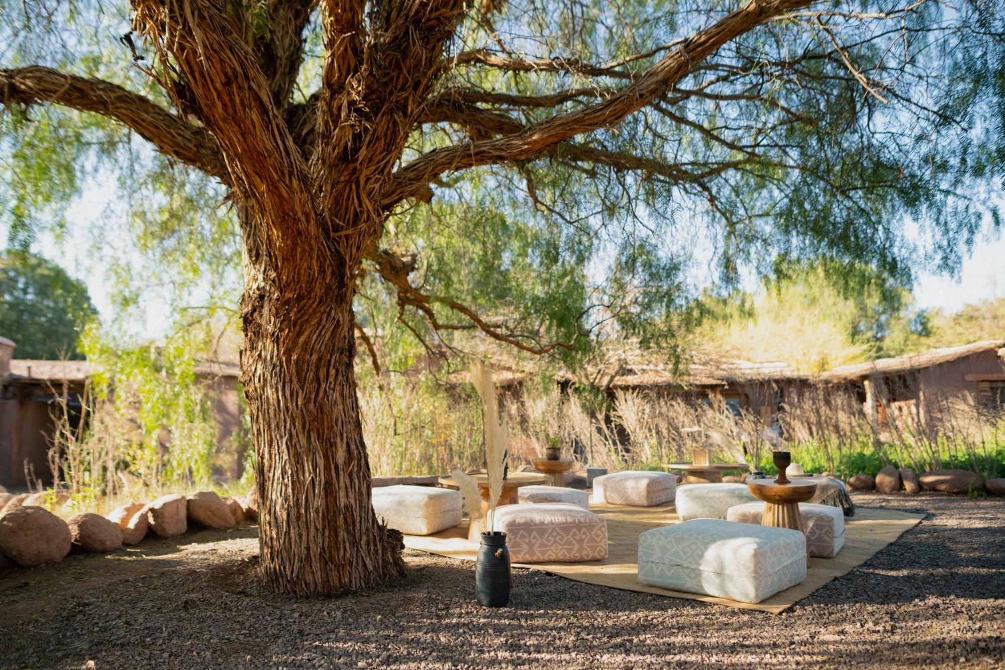 Our Habitas Atacama Hotel San Pedro de Atacama Ngoại thất bức ảnh
